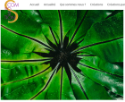 Screenshot_20260331_at_181158_Quatrime_session_dt_Universit_des_terrestres_Scomposition.png